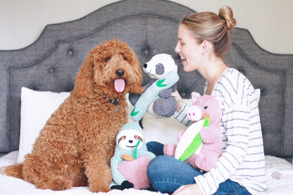 Top 5 Best Dog Toys For Goldendoodles - The Homespun Chics