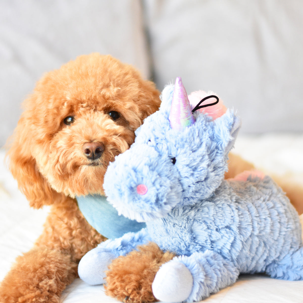 Patchwork Pet: Shop Our Collection of Plush and Trendy Dog Toys –  PatchworkPet