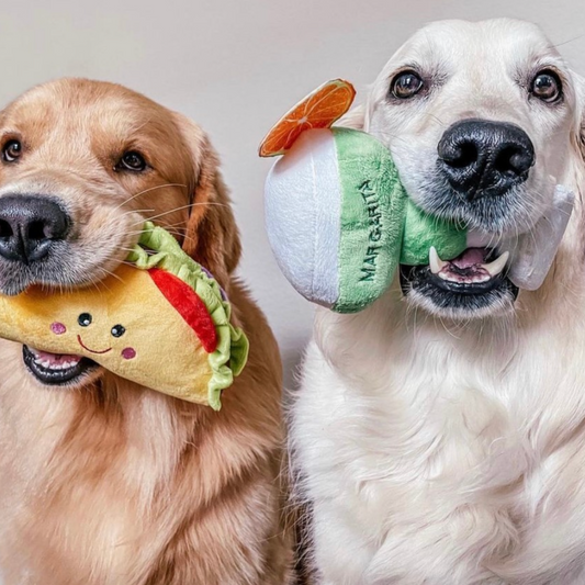 Fiesta Friday: DIY Margarita Dog Treat Recipe