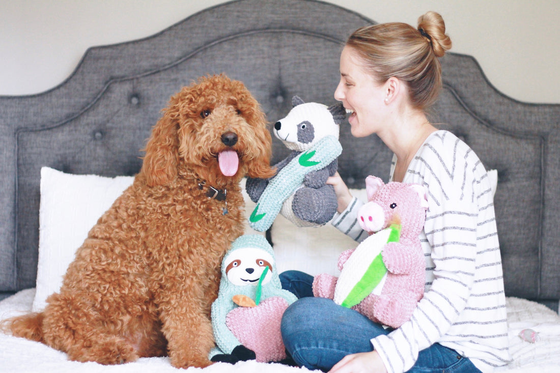 6 Best Dog Toys for Goldendoodles and Labradoodles