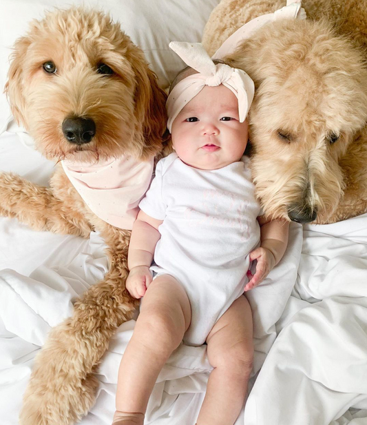 4 Things All Dog Mom's Need To Know Before Having A Baby