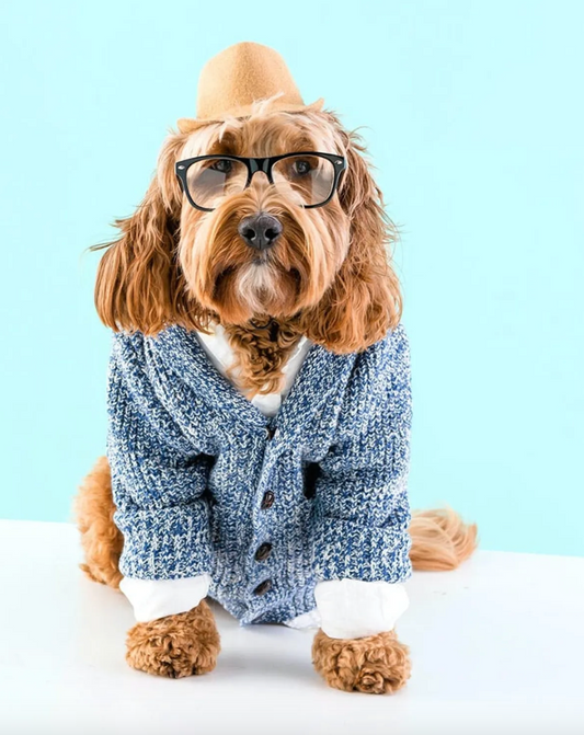 10 DIY Halloween Costumes For Your Dog You Need To Recreate