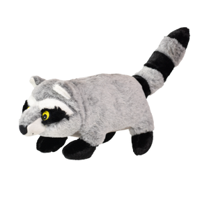 Raccoon