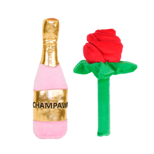 Champagne & Flower Duo